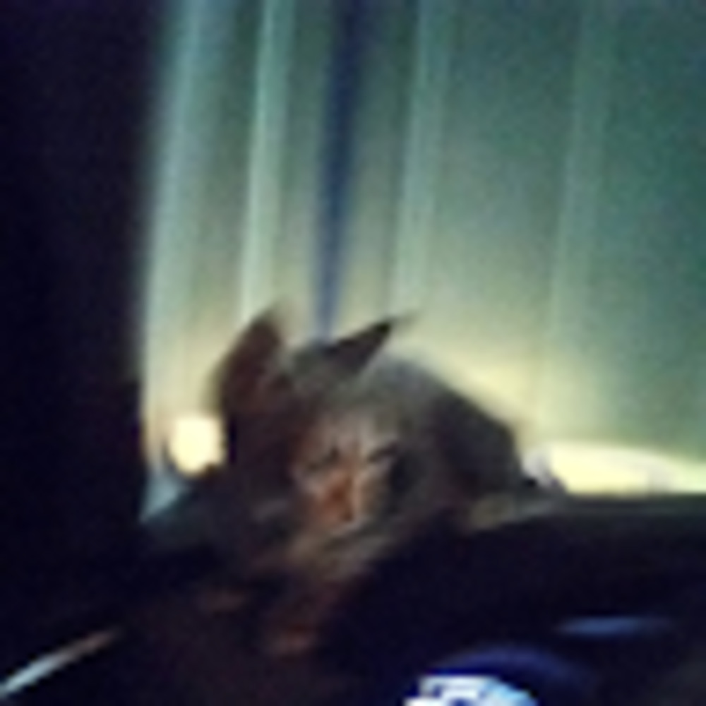 Meet your Posher, Terry